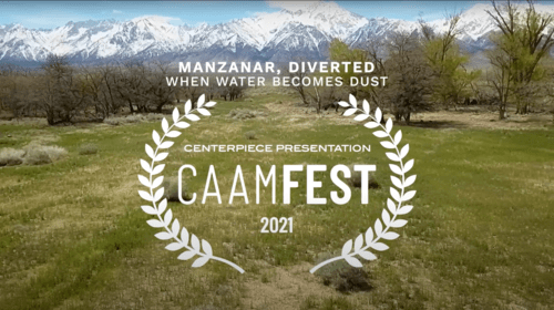 CAAMFEST 2021