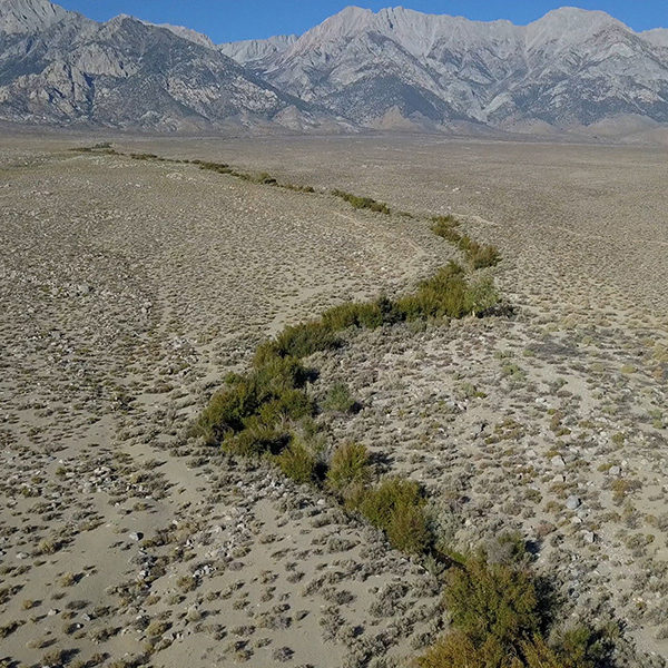 MANZANARDIVERTEDWHENWATERBECOMESDUST---SS001